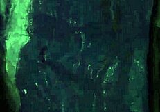 Teen uses mirror for dildo masturbation before rough outdoor doggy