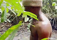 ملك الغابة الملحمي مع الباريدي الجزء 1