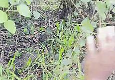 ملك الغابة الملحمي مع الباريدي الجزء 1