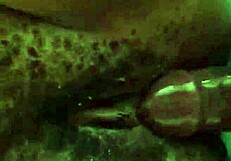 Feeling the Tight Nigerian Pussy's Grip