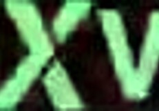 nicole demara and nekomiya mana dominate in rough hentai play