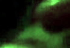 She gives a DISRESPECTFUL BLOWJOB to his cock.