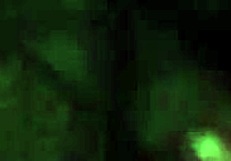 She gives a DISRESPECTFUL BLOWJOB to his cock.