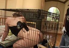 Watch this pawg get fucked by big black cock?