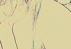 in the night club, feeling the intense ass licking and blowjob under the lights