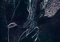 in the night club, feeling the intense ass licking and blowjob under the lights