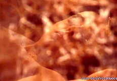 Petite Brunette Engages in Gentle Body Cleansing Ritual