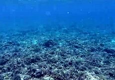 Beauty, show off that huge dildo!