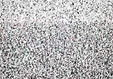 Dr Tampa plays dirty with Mya for commissary cash backstage