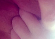 toda gozadinha needing a penis for complete satisfaction hehe