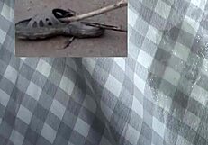 two lovers have great fun sex in the bedroom