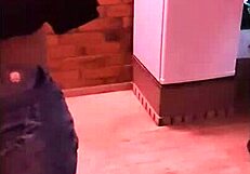 Can This Horny Novinha Fuck In Front Of Her Boyfriend And Scream Love?