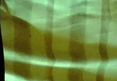 Hot amateur couple enjoys oral play and teasing.