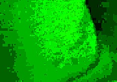 Hot amateur couple enjoys oral play and teasing.