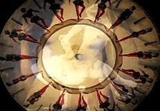 Vintage erotic art showcases hairy beaver in raw retro style.