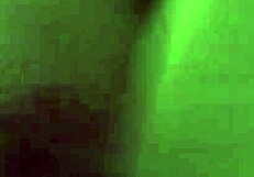 Me And My Girlfriend Sharing Cock With Friend.