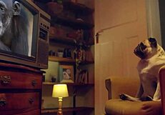 why does eden ivy let me fuck her rich throat in lingerie for benefits?