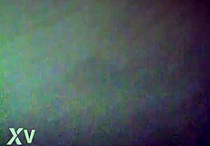 Flaca Deliciosa Teases with Sexy Curves