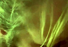 Hotel Blowjob with Amateurs