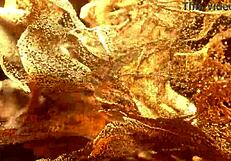 Jana Red's intense anal interracial scene