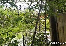 i'm evelina darling, that cocky bitch showing tits in public and sucking dick in dangerous zones