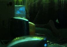 i enjoy bbw and skinny amateurs together