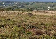 Public Striptease Leads To Naked Walk Of Shame