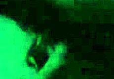 I watch this slutty Latina squirt while fucking in South America.