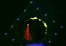 Rainha Hotwife, Stunning Latina, Masturbates for Her Cuckold to Watch