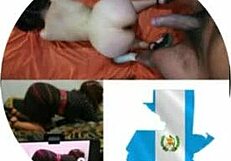 Latina Blowjob And Doggy Fuck In Hotel