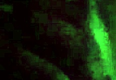 love making him feel good with my bbw body