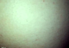 Mexican Girl Suggests Anal Sex Through Her Tight Little Ass