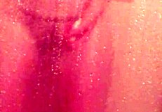 shy bathing in the shower