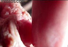 Big Clit Orgasms in Close-Up Pussy View.