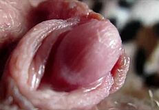 Big Clit Orgasms in Close-Up Pussy View.