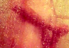 shy bathing in the shower