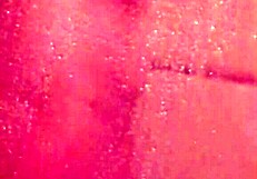 shy bathing in the shower