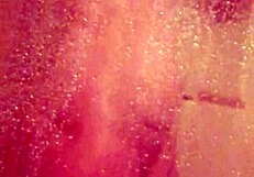 shy bathing in the shower