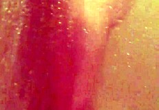 shy bathing in the shower