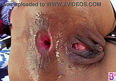 Exotic Ebony Asian Evanni Solei takes interracial anal pounding