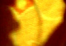 Homemade Dirya-Yazva Anal Is So Intense!