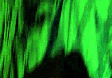 having fun making free porn with blowjob and masturbation