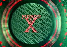 Busty latina gets fucked by her boss and squirts.