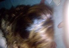 Amateur Girlfriend Sucks Cock In Bikini, Then Doggy Style