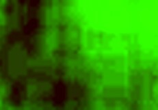 Curly Girl Sucks In Hidden Camera!