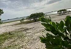 Blonde Charges For Beach Blowjob