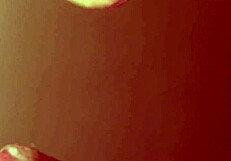 Japanese Wife Masters Blowjob Skills for Group of Men!