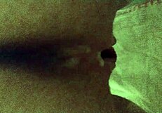 Husband Cumming in Wife's Naughty Ass, Retro Style