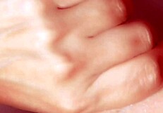 日本人妻が男たちのグループにフェラスキルで完璧対応！