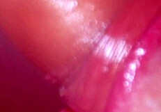 Japanese Wife Masters Blowjob Skills for Group of Men!